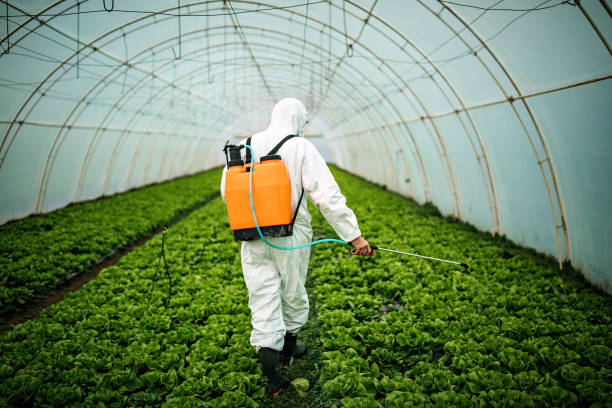 Best Emergency Pest Control  in Gotha, FL