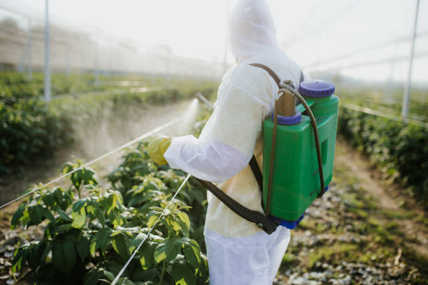 Best Pest Removal Services  in Gotha, FL